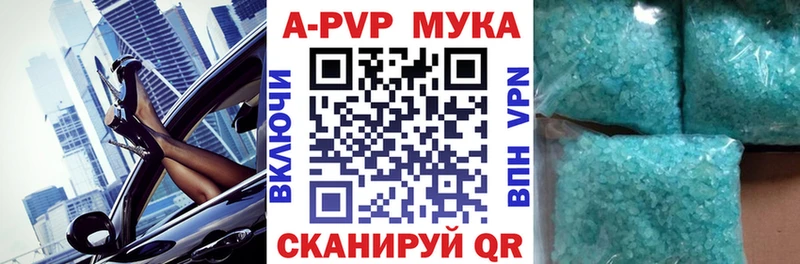 дарнет шоп  Кемь  Альфа ПВП СК КРИС 