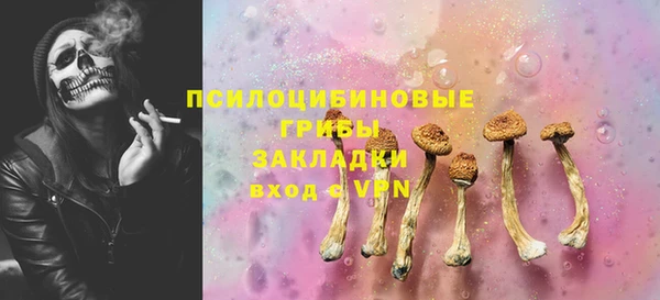 мяу мяу мука Надым