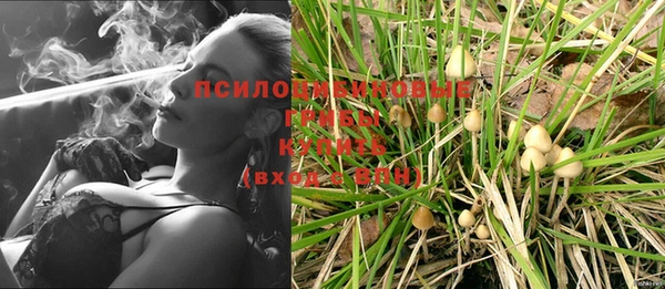 мяу мяу мука Надым