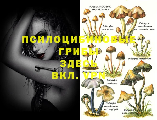 винт Навашино