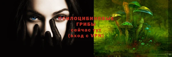 MDMA Premium VHQ Гвардейск