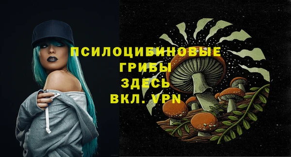 дурь Наволоки