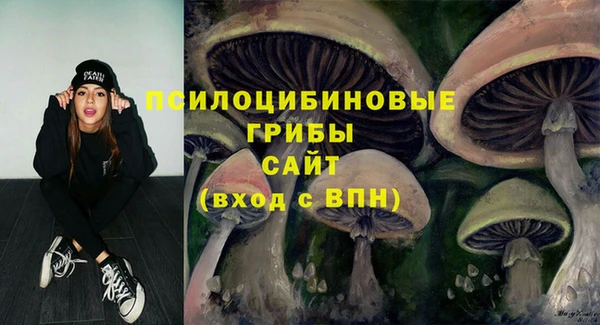 ешки Галич