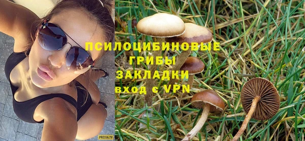 амфетамин Гатчина