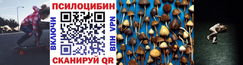 Псилоцибиновые грибы Cubensis Кемь