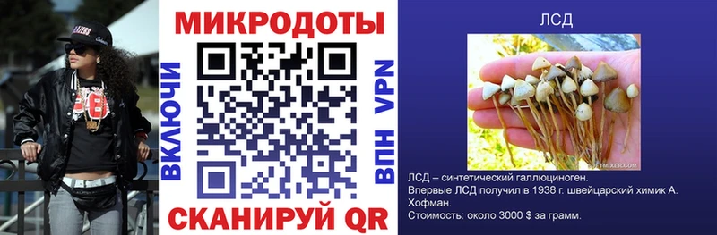 Псилоцибиновые грибы GOLDEN TEACHER  блэк спрут ссылки  Кемь 